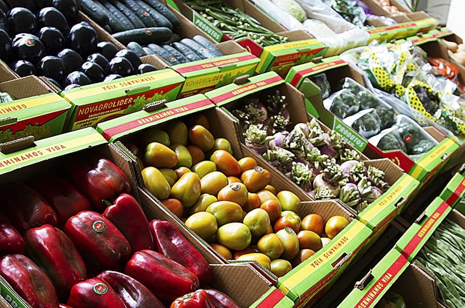 Development Workshop Angola ‘rasteia’ soluções para um sistema alimentar escolar sustentável 