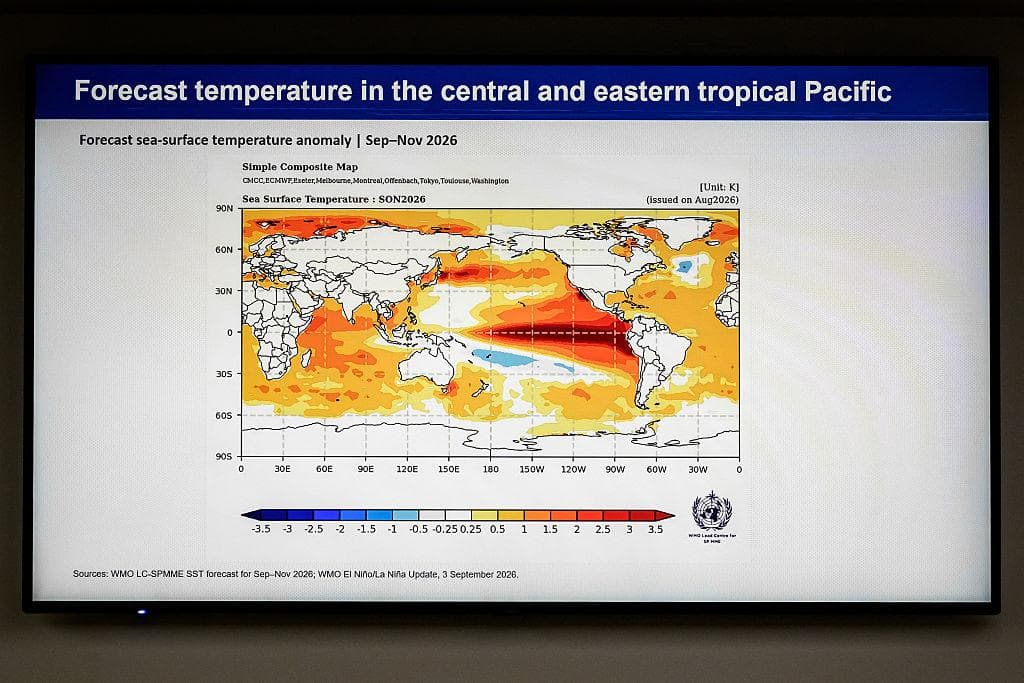 “Super El Niño” pode provocar até 451 mil mortes adicionais por calor, estima Climate Impact Lab
