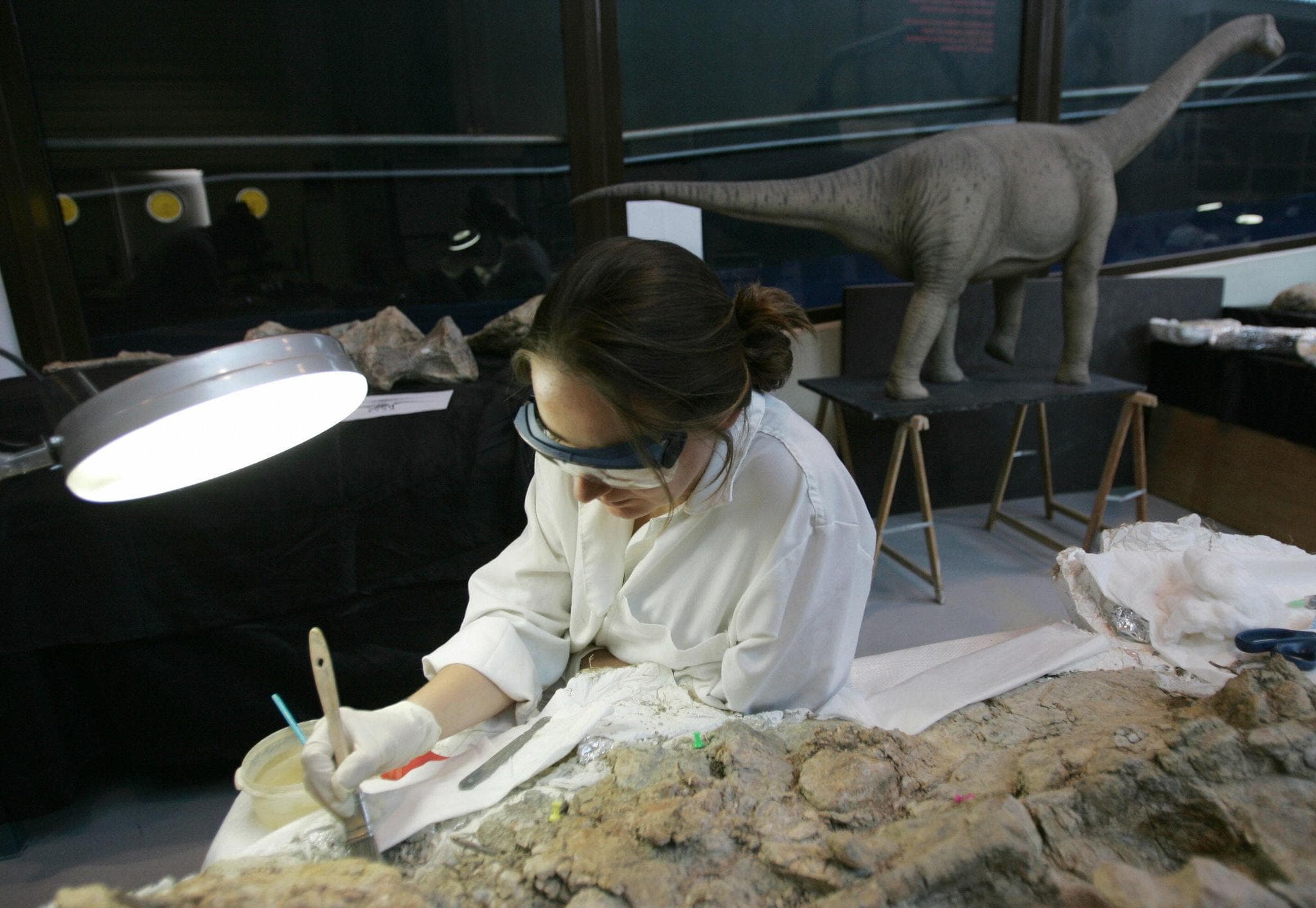 Diplodocus viveu na Europa: fósseis encontrados em Espanha mudam mapa de um dos dinossauros mais conhecidos do mundo
